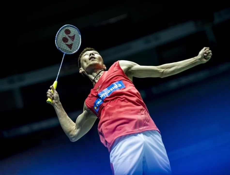 的这一报道 的这一报道